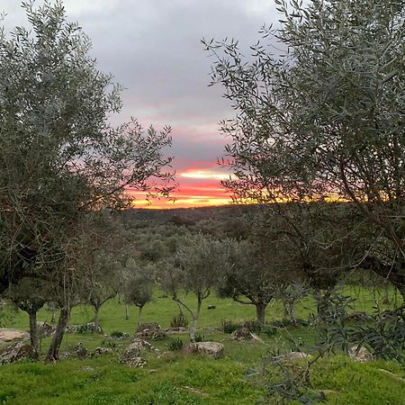Casa 1-Quinta Dos Penedos Leilighet Portalegre Eksteriør bilde