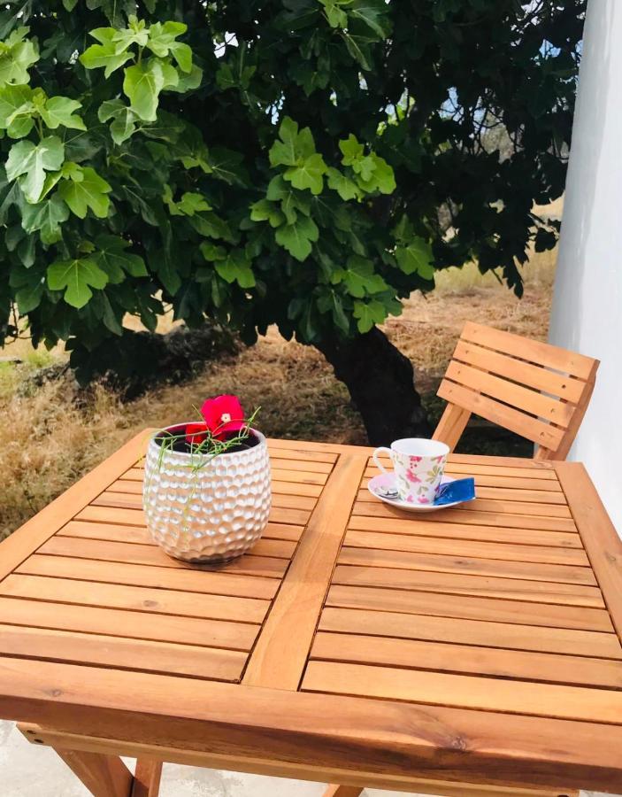 Casa 1-Quinta Dos Penedos Leilighet Portalegre Eksteriør bilde