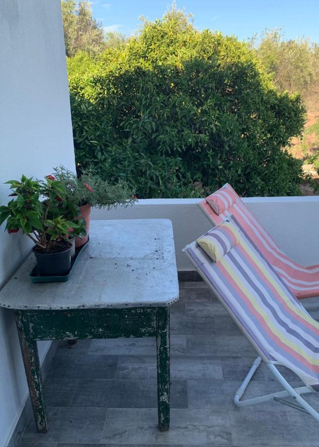 Casa 1-Quinta Dos Penedos Leilighet Portalegre Eksteriør bilde