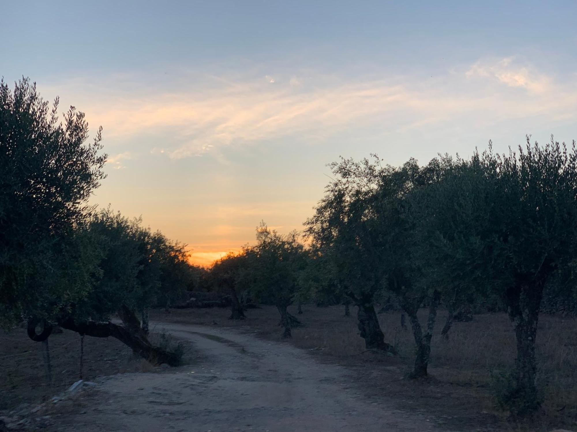 Casa 1-Quinta Dos Penedos Leilighet Portalegre Eksteriør bilde