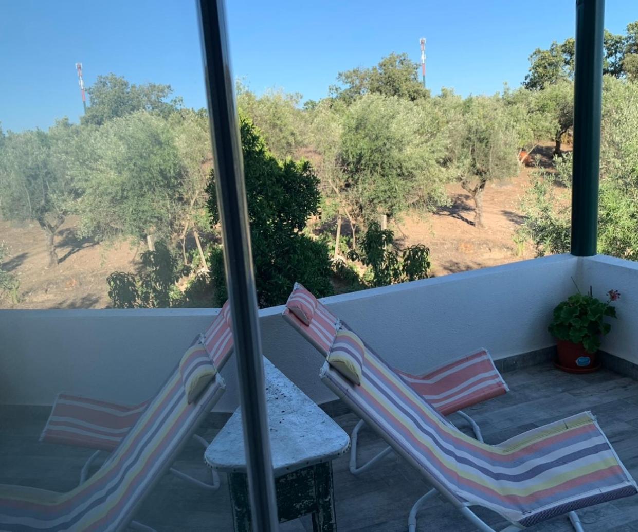 Casa 1-Quinta Dos Penedos Leilighet Portalegre Eksteriør bilde