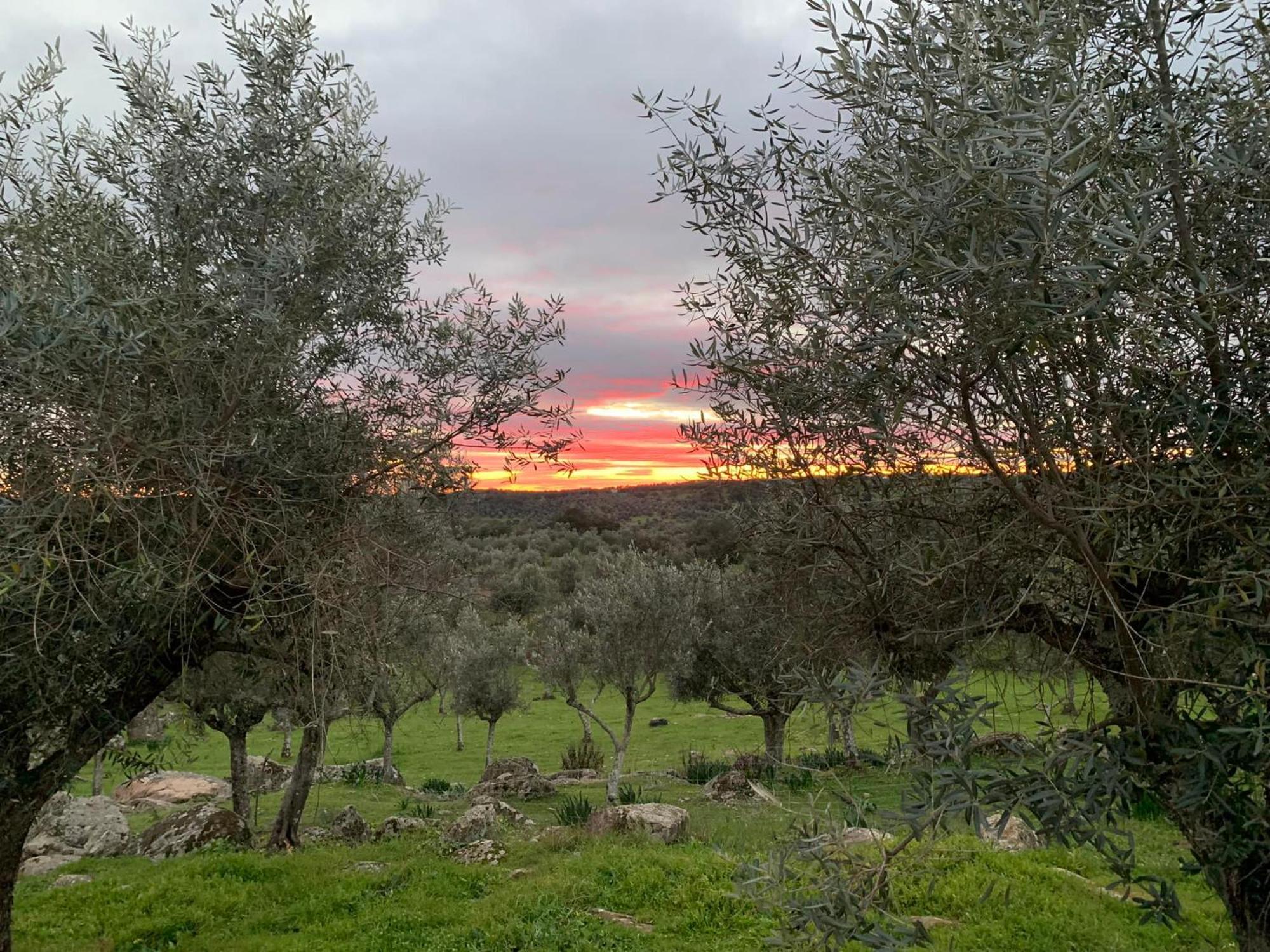 Casa 1-Quinta Dos Penedos Leilighet Portalegre Eksteriør bilde
